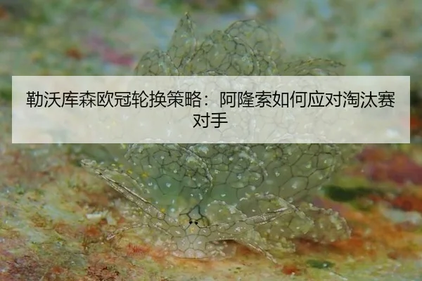 lei-wo-ku-sen-ou-guan-lun-huan-ce-lve-a-long-suo-ru-he-ying-dui-tao-tai-sai-dui-shou-3-583.jpg