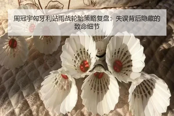 zhou-guan-yu-xiong-ya-li-zhan-yu-zhan-lun-tai-ce-lve-fu-pan-shi-wu-bei-hou-yin-cang-de-zhi-ming-xi-jie-2-814.jpg