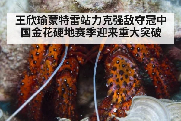 王欣瑜蒙特雷站力克强敌夺冠中国金花硬地赛季迎来重大突破