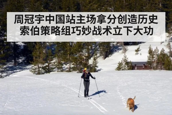 周冠宇中国站主场拿分创造历史 索伯策略组巧妙战术立下大功