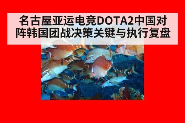 名古屋亚运电竞DOTA2中国对阵韩国团战决策关键与执行复盘