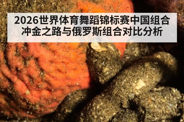 2026世界体育舞蹈锦标赛中国组合冲金之路与俄罗斯组合对比分析
